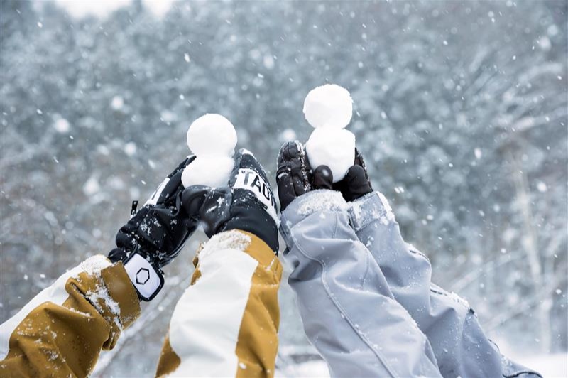 【第3回ALLいわて雪フェスティバル】1月24日～2月24日